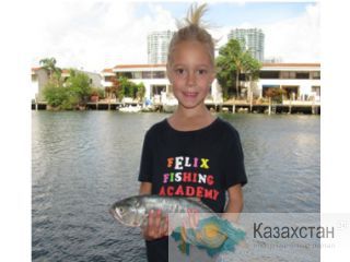 FELIX FISHING  ACADEMY Алматы