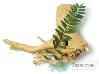 УВЕЛИЧИТЕЛЬ уровня ТЕСТОСТЕРОНА - подтверждения на множестве англ. форумов бодибилдеров Алматы
