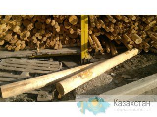 Деловая береза Екатеринбург