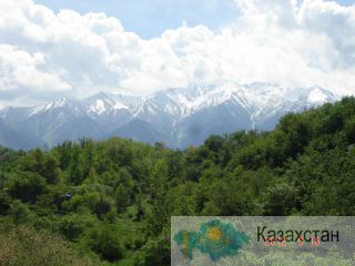 участок в живописном месте талгар
