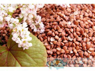 Продам гречиху Алматы