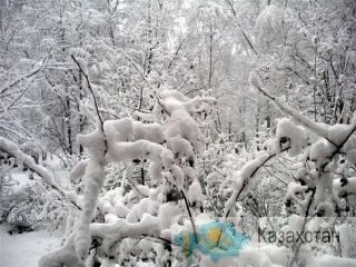 вывоз снега Алматы и Алматинская область