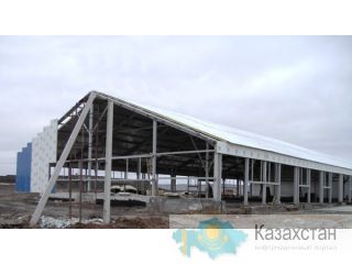 Коровники Павлодар