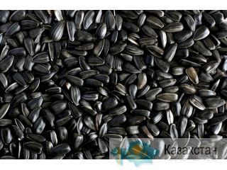Продам семечки, подсолнух Астана