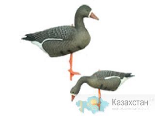 Подсадные гуси Sport Plast (Италия) Карагандинская область