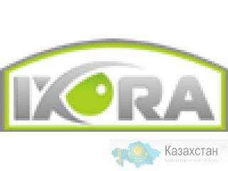 Системы безопасности от Компании ТОО "IXORA" (ИКСОРА) Алматы и Алматинская область
