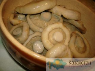 продам грибы соленые ГРУЗДИ Караганда