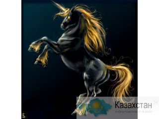 Супер новая система «Основы Актёрского мастерства для сцены и жизни за 5 недель» от театральной студии "Пегас" Астана