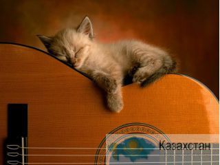 Уроки игры на гитаре Костанай