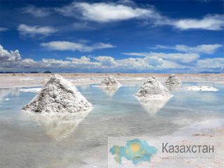 Кормовая соль и техническая соль напрямую от производителя Алматы
