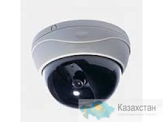 купольная камера Павлодарская область