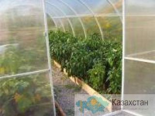 Теплицы и Парники Актобе
