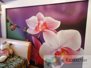 Фотообои по размеру Ваших стен за один день! Алматы