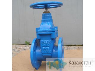 Задвижка чугунная (Z45X-16) (НВШ) PN 16 Алматы и Алматинская область