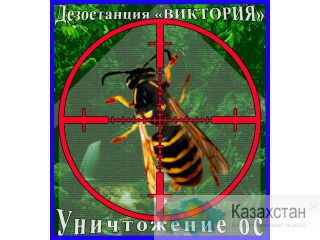 Дезостанция ВИКТОРИЯ.  Уничтожение ос в Алматы и области. Алматы и Алматинская область
