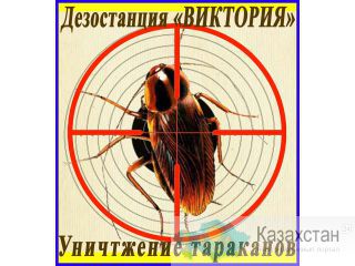 Дезостанция ВИКТОРИЯ.  Уничтожение тараканов в Алматы и области. Алматы и Алматинская область