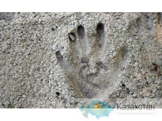 Цемент ПЦ400Д20 Караганда