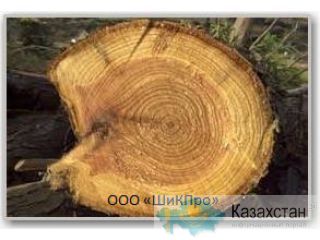 Древесина деловая (кедр, пихта) Другое месторасположение