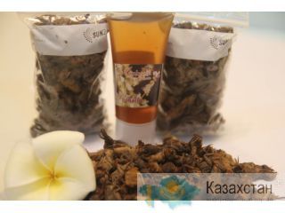 Азиатская медведка от туберкулеза Алмоты