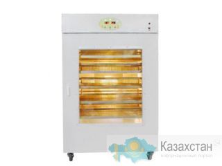 Инкубатор Витязь Казахстан