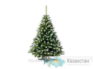 Елки М снег Алма-Ата