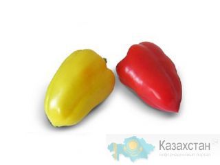Семена фирмы KITANO SEEDS Астана и Акмолинская область