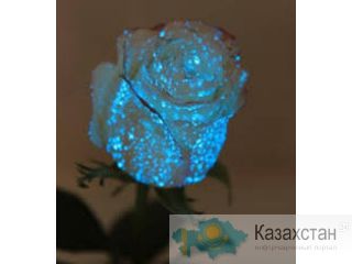 Сделай жизнь ярче! Караганда