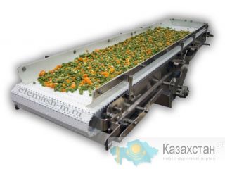Питатель для замороженных ягод Астана и Акмолинская область