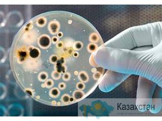 СОЖ: Металлообработка - технические и сервисные услуги, импортозамещение Другое месторасположение