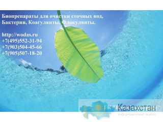 Биопрепарат Bacti-Bio 9500. Описание. Применение. Купить от производителя. Цена.  Биопрепарат Bacti-Bio 9500. Описание. Порош Москва