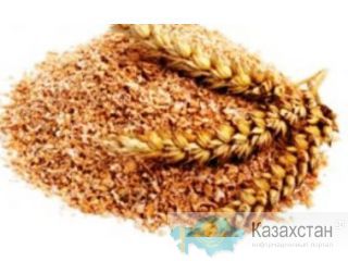 Пшеница, отруби. Продам Костанай