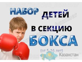 Набор в секцию бокса в Алматы, школа бокса Алматы