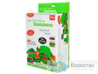 Контейнеры Stay Fresh Green Container 43039 Алматы и Алматинская область