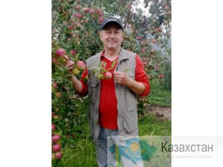 Опытный переводчик онлайн Нижний Новгород