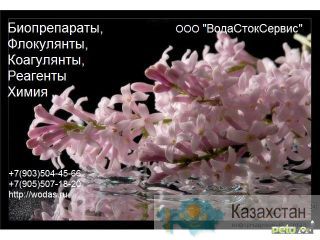 Bacti - Bio 9500 (Бакти Био 9500) — Бактерии для очистки стоков. Удаление запаха канализации, разложение органики, жиров, мас Повсеместно