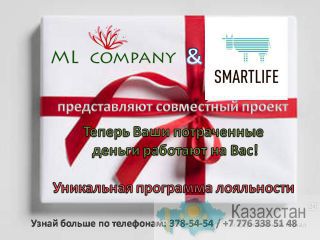 ML company заботится о Вашем бюджете Алматы и Алматинская область