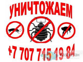 Уничтожение Клопов Актау Актау