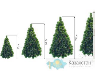 Купи Елку и забери свой подарок Алматы