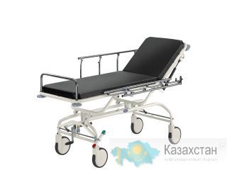 Каталка медицинская WP-03 FAMED за 147000 руб. Другое месторасположение