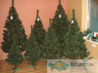 Купить ёлку в Алматы Алматы