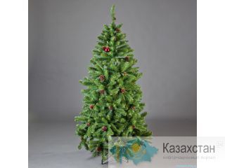 Купи Елку и забери свой подарок Алматы