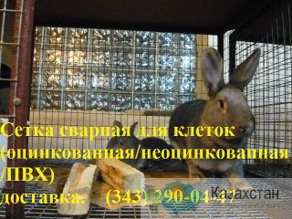 Сетка сварная оцинкованная для клеток Алматы и Алматинская область
