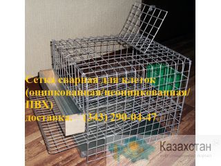 Сетка для клеток сварная оцинкованная Алматы и Алматинская область