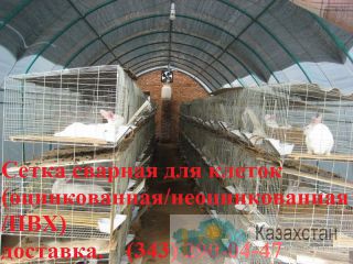 Сварная оцинкованная сетка Алматы и Алматинская область