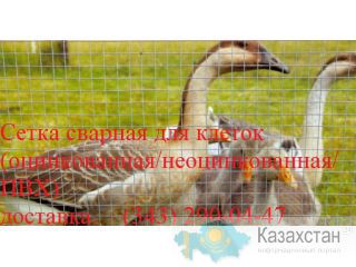 сетка св оцинк Алматы и Алматинская область