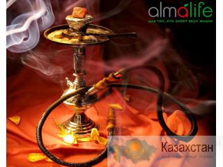Аренда и продажа кальянных принадлежностей Алматы