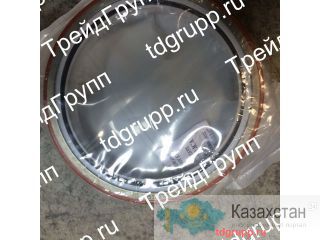 3925529 сальник коленвала Cummins QSL Астана и Акмолинская область