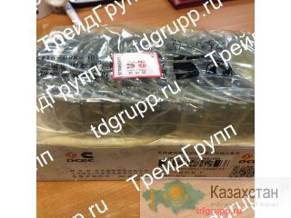 3966244 вкладыши шатунные Cummins QSL Астана и Акмолинская область