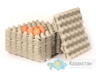 Линия по производству яичных лотков Другое месторасположение