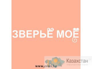 Товары для животных. Алматы